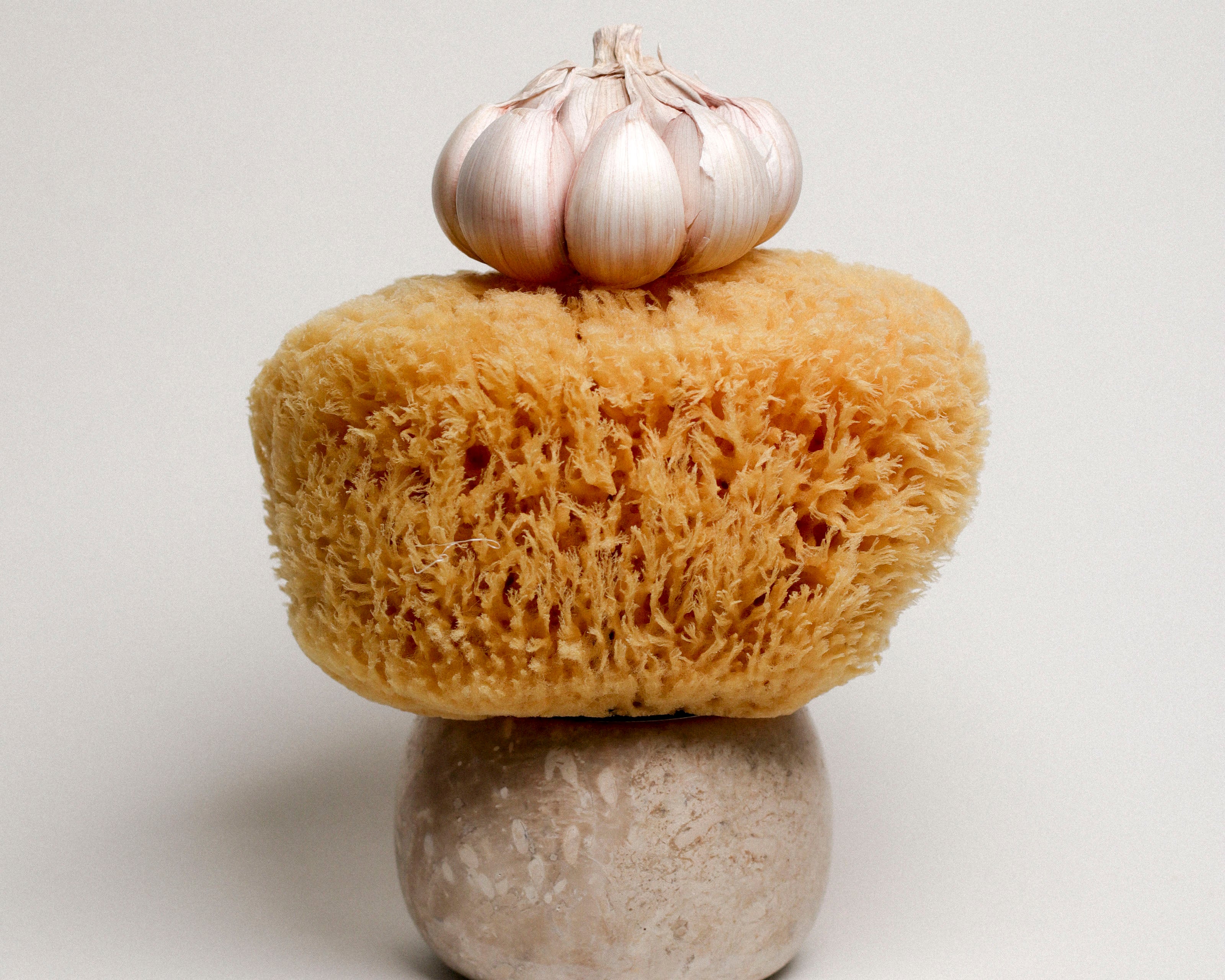 Abel Duo Holder