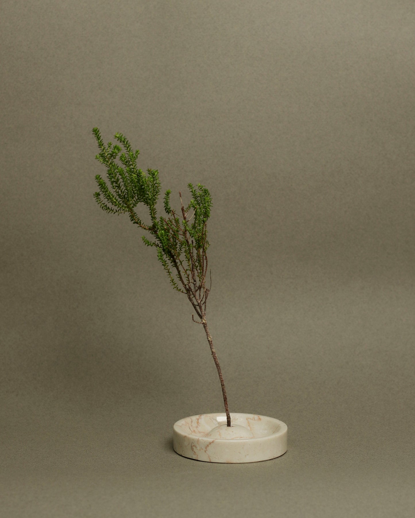 Ebb Incense Holder Cream Marble