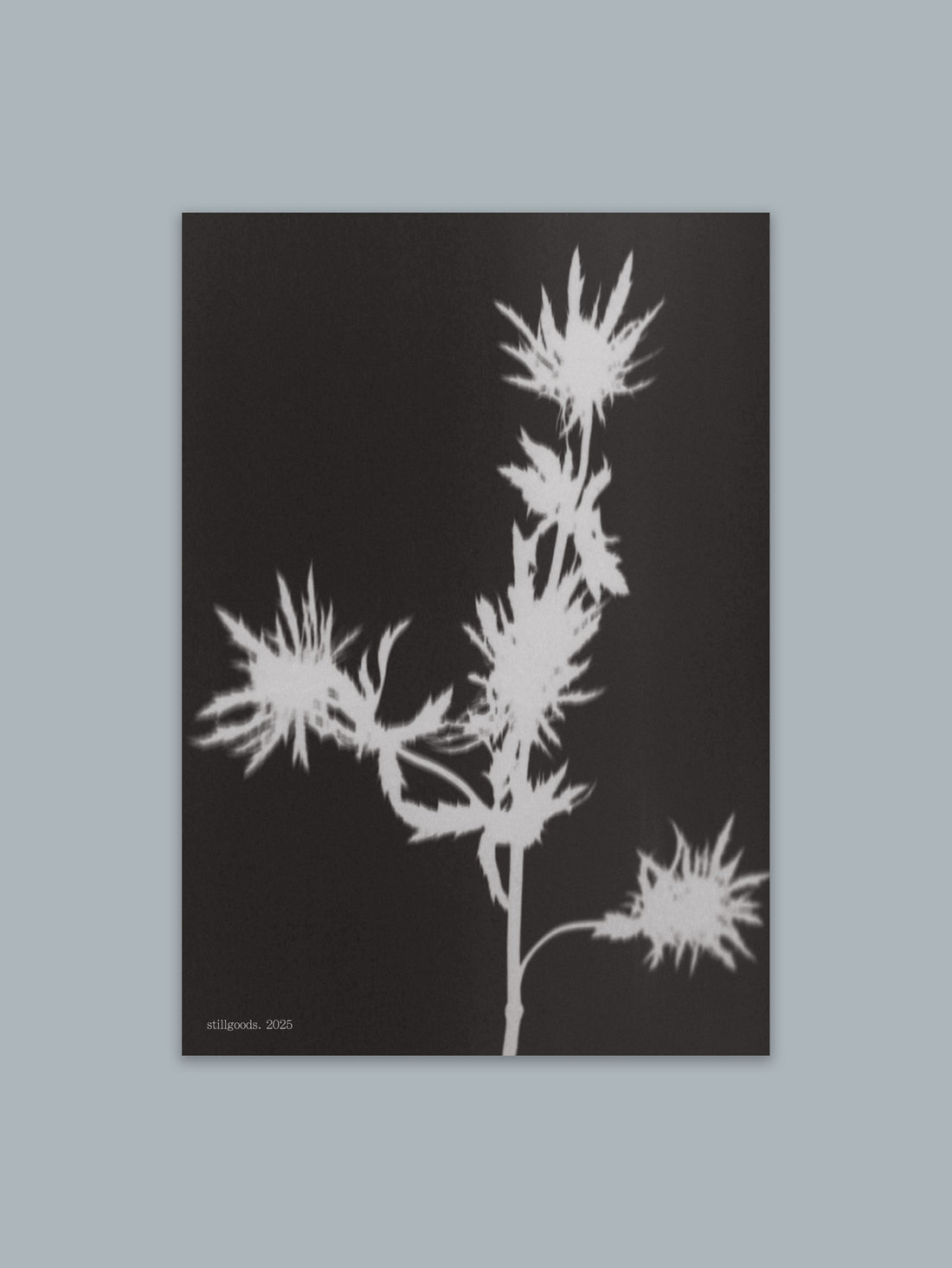 2025's Scent Guide Postcard