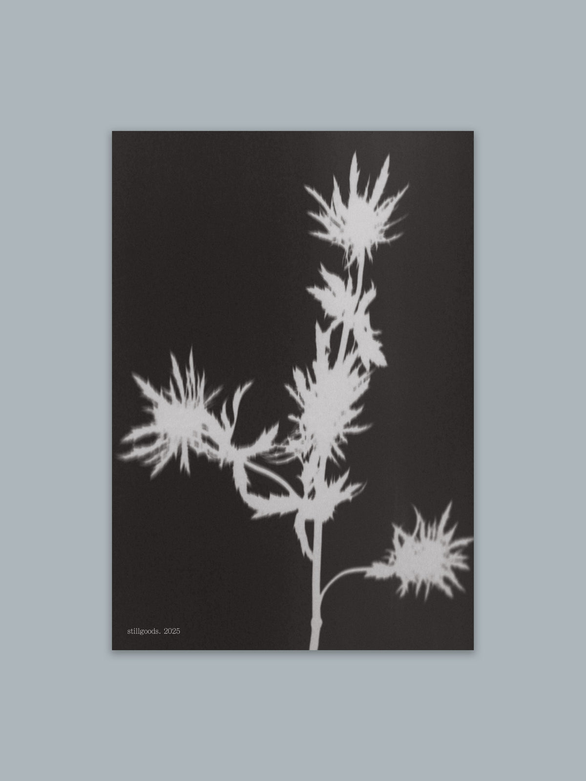 2025's Scent Guide Postcard