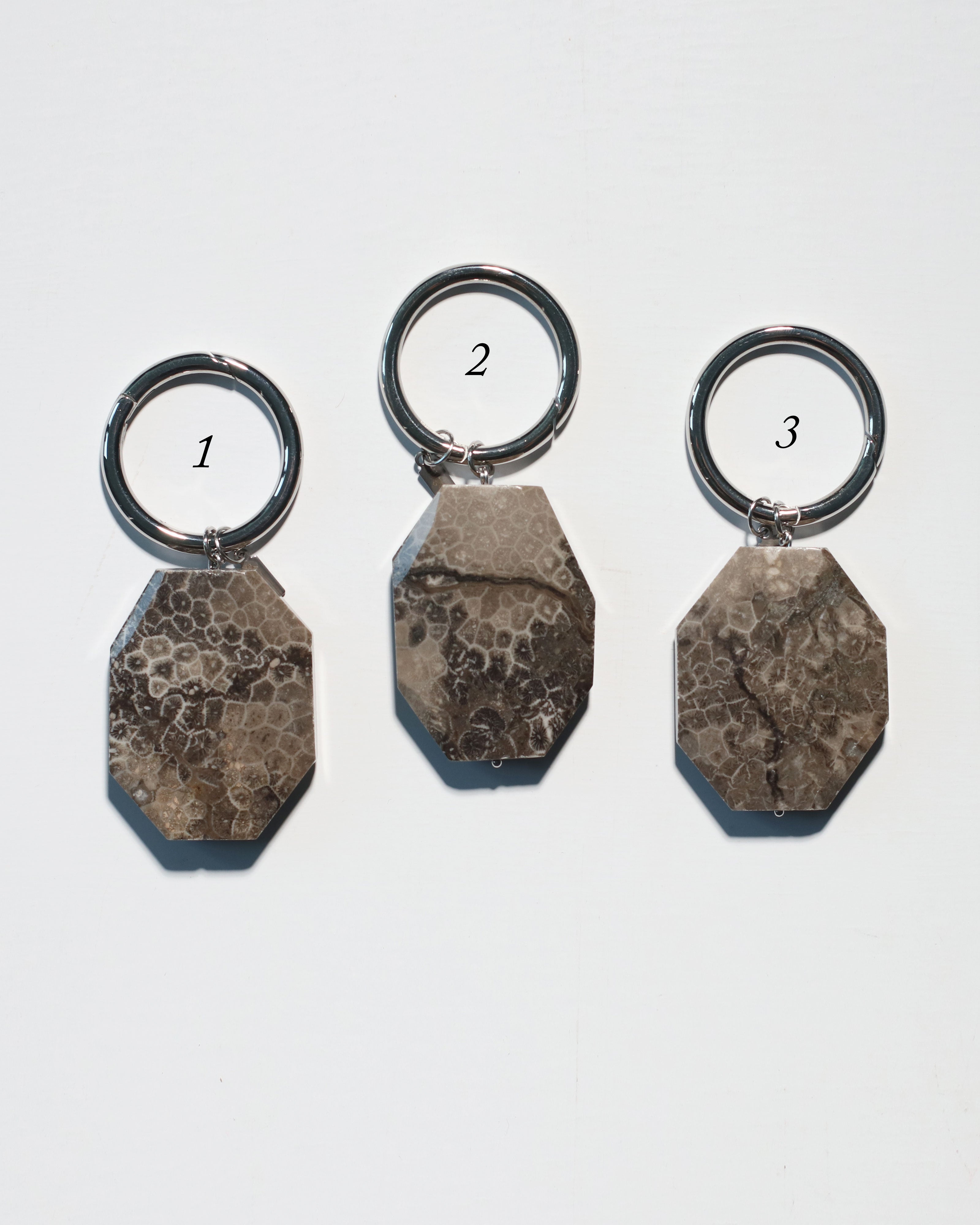 PEBBLE Keychain: Fossil Coral – stillgoods