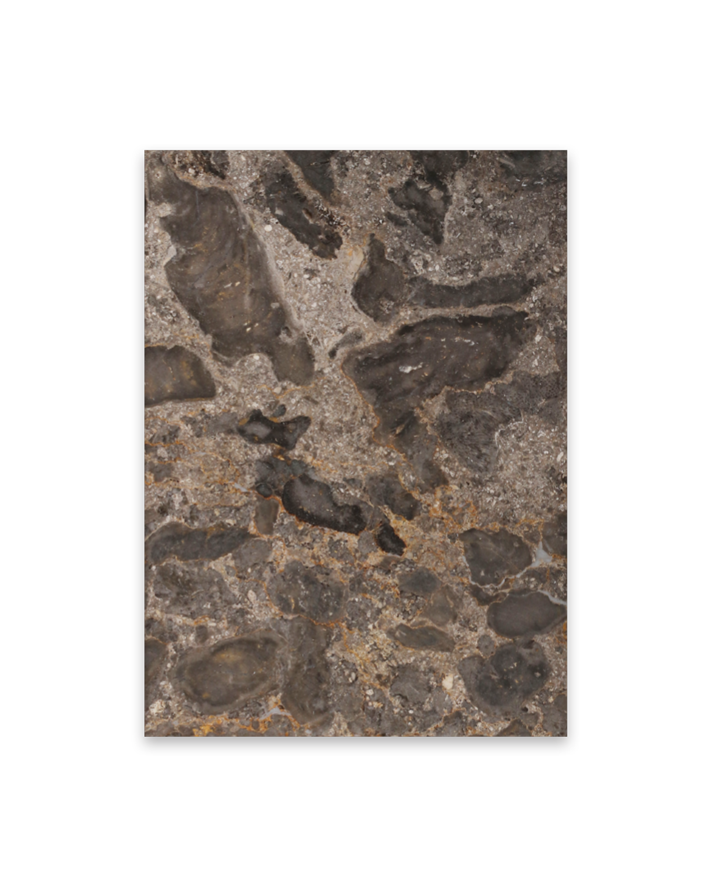 Brown Marble - A6 Print