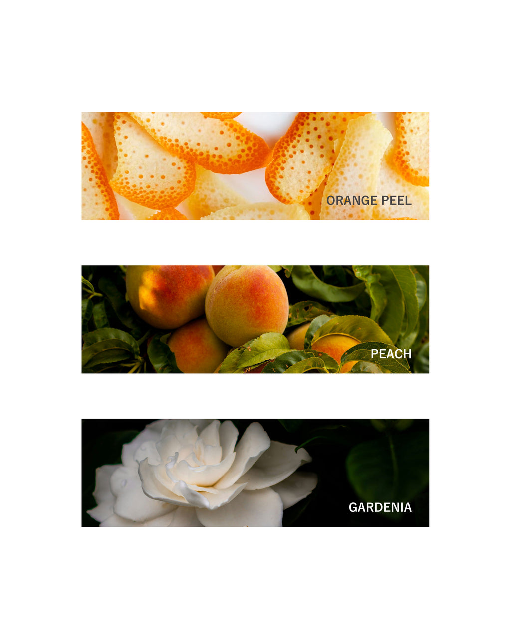 Fragrance Oil: Endless Blossom