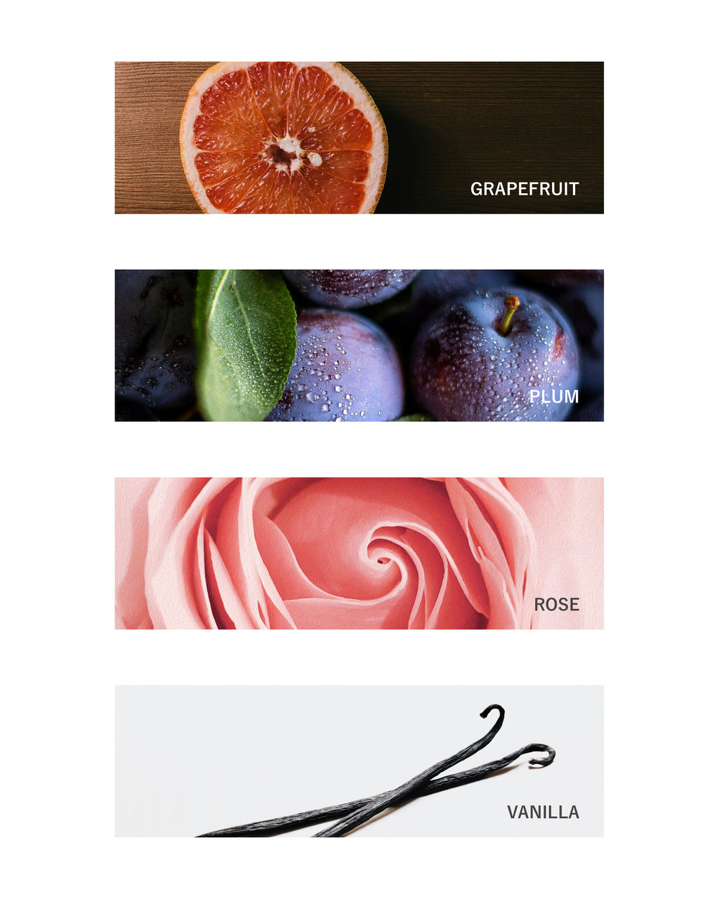 Trio Set: Like A Rose (10ml x 3 + Tin Box)