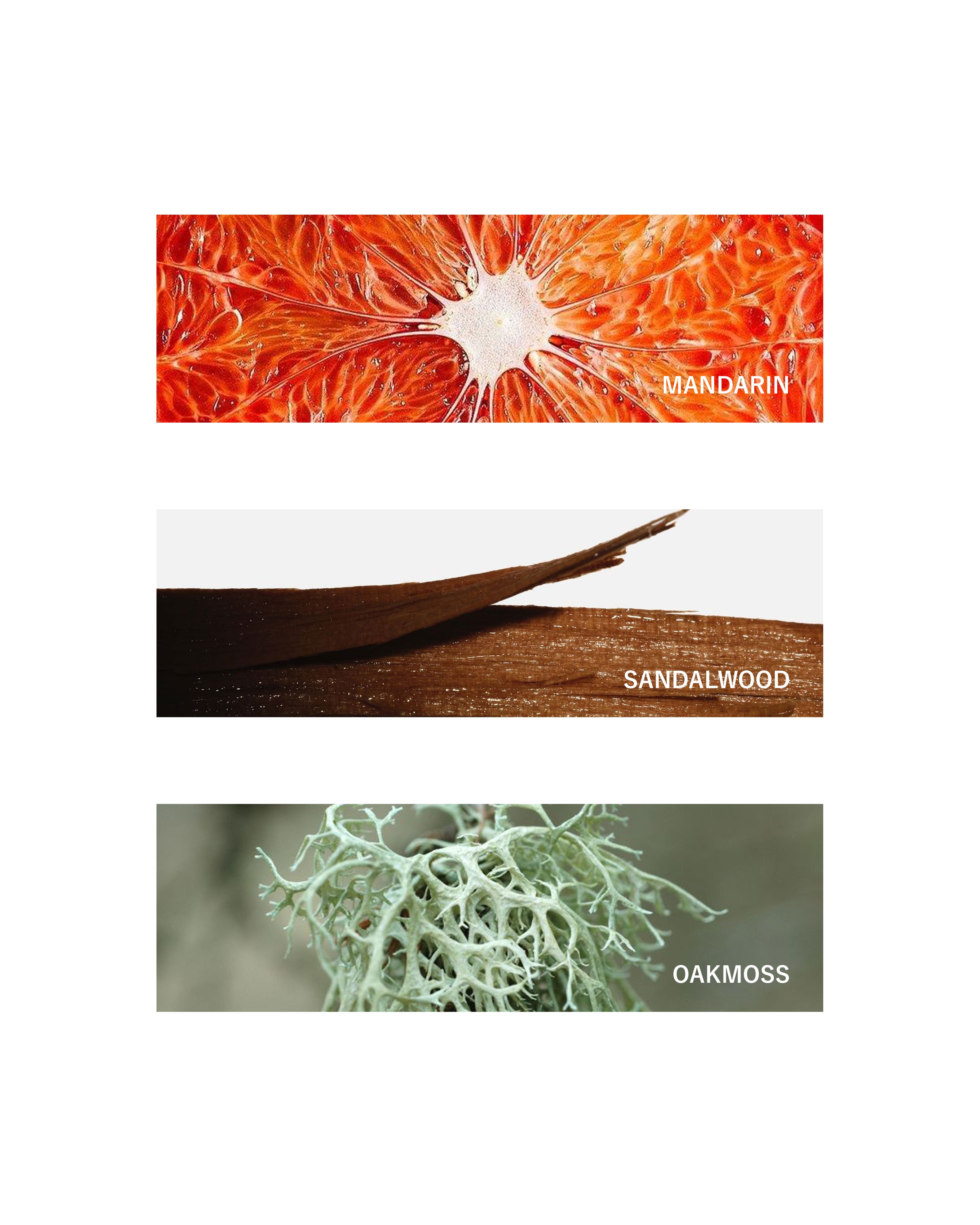 Multi-Spray: The Botanist | 80ml