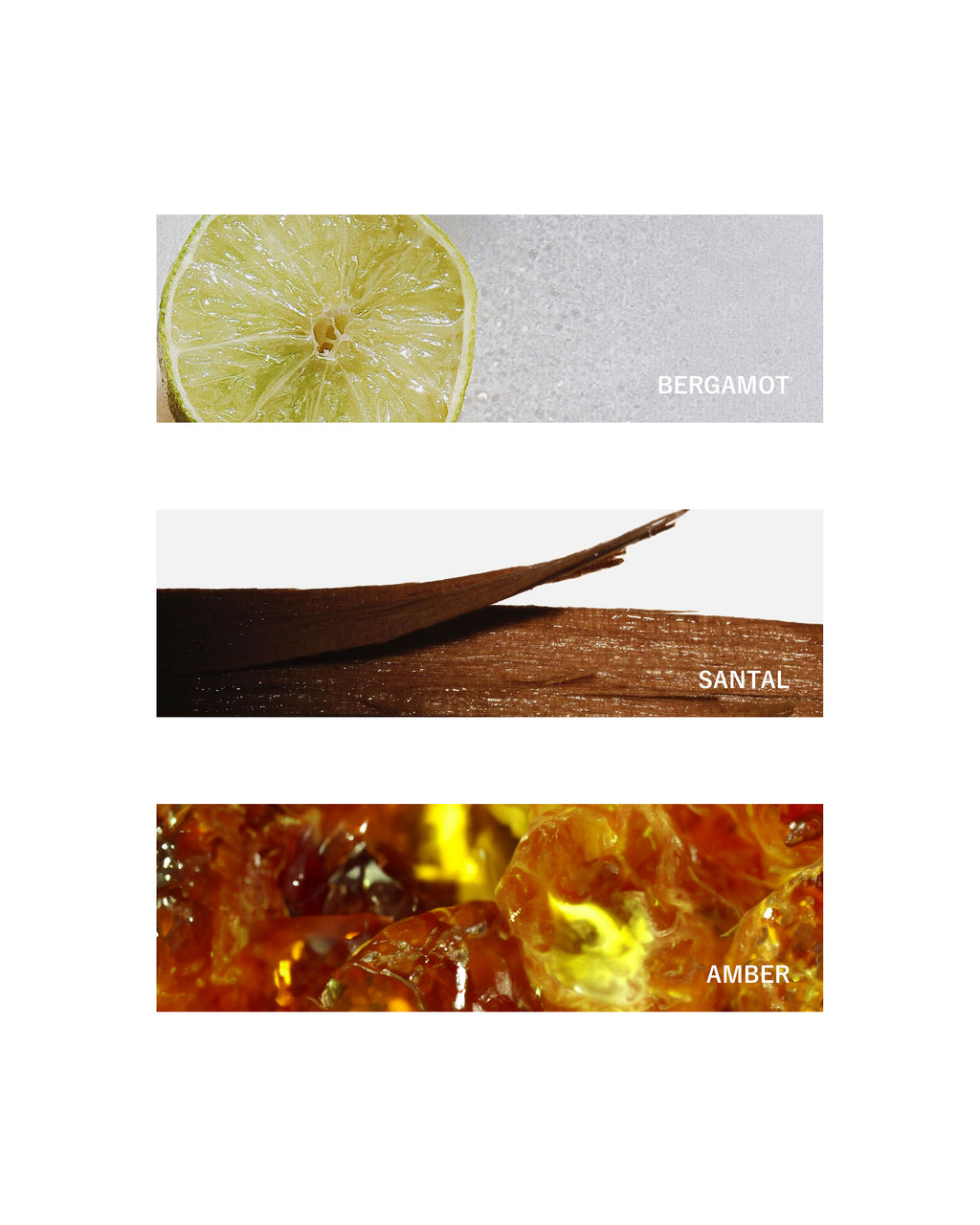 Fragrance Oil: White Noise