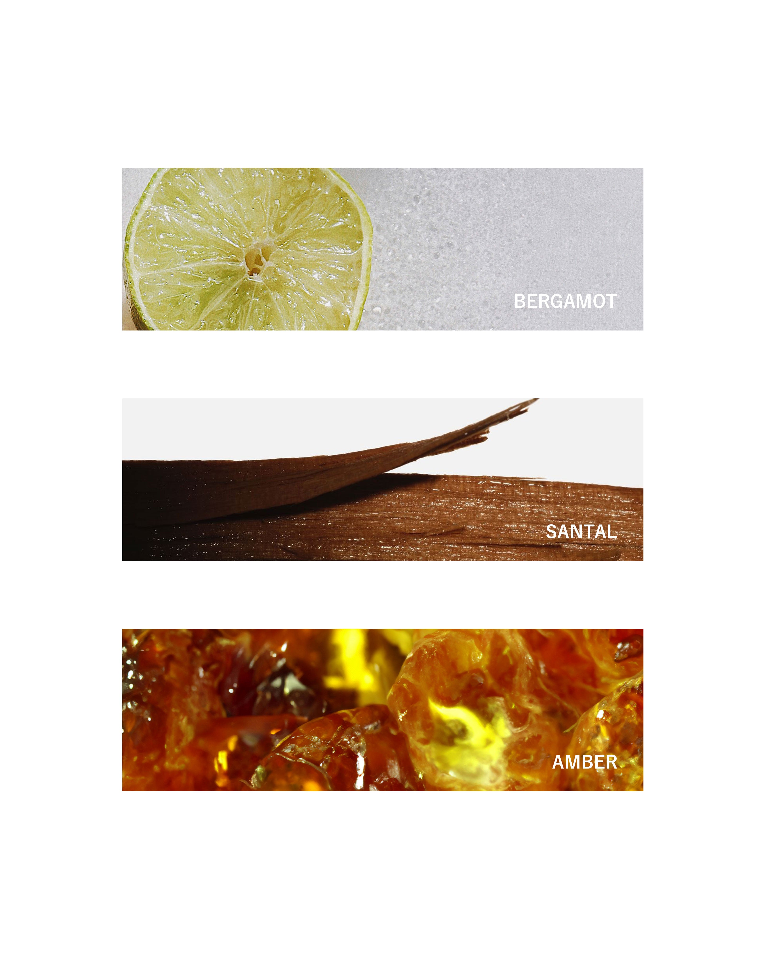 Fragrance Oil: White Noise