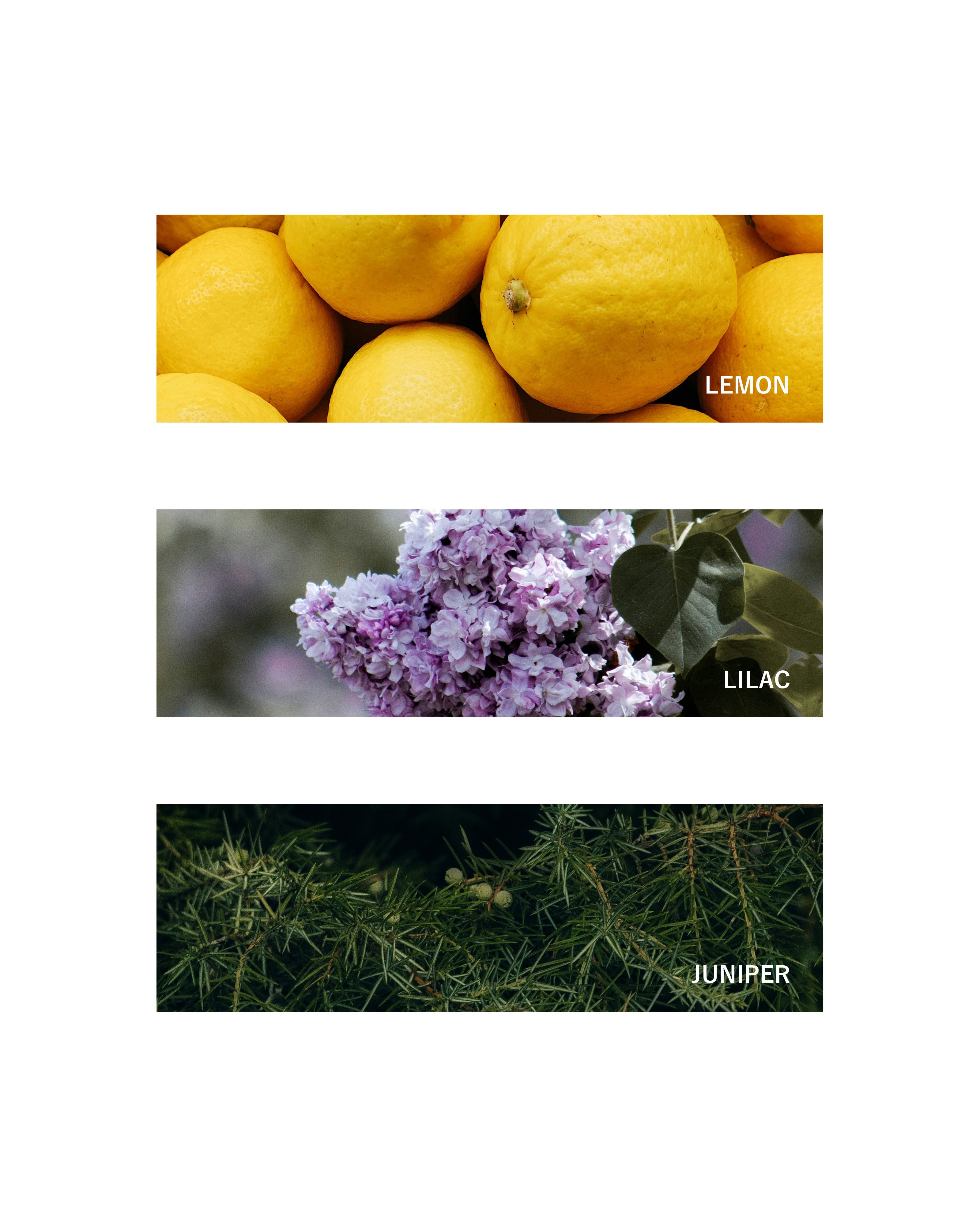 Trio Set: Zest (10ml x 3 + Tin Box) – stillgoods