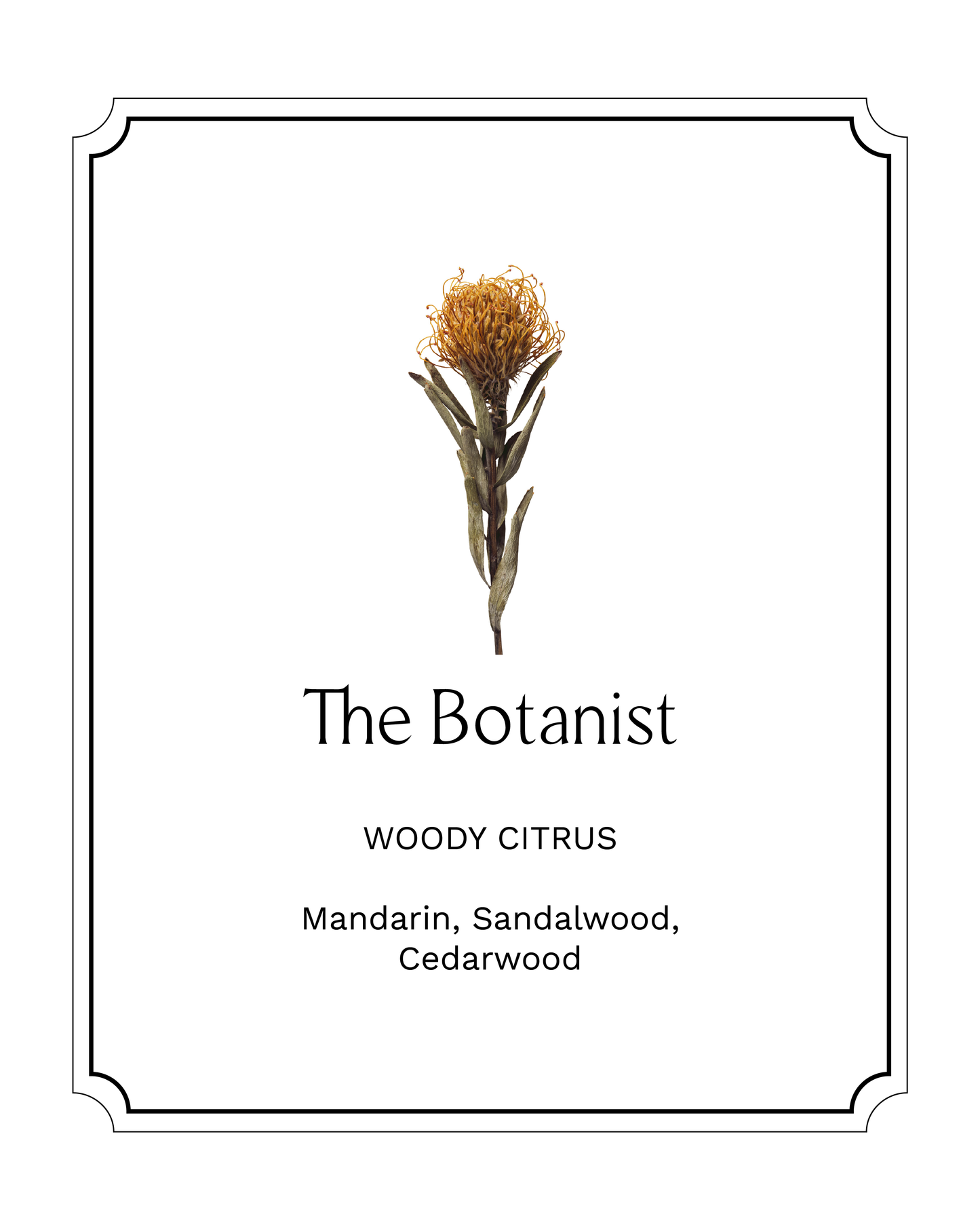 フレグランスオイル: The Botanist | 15ml