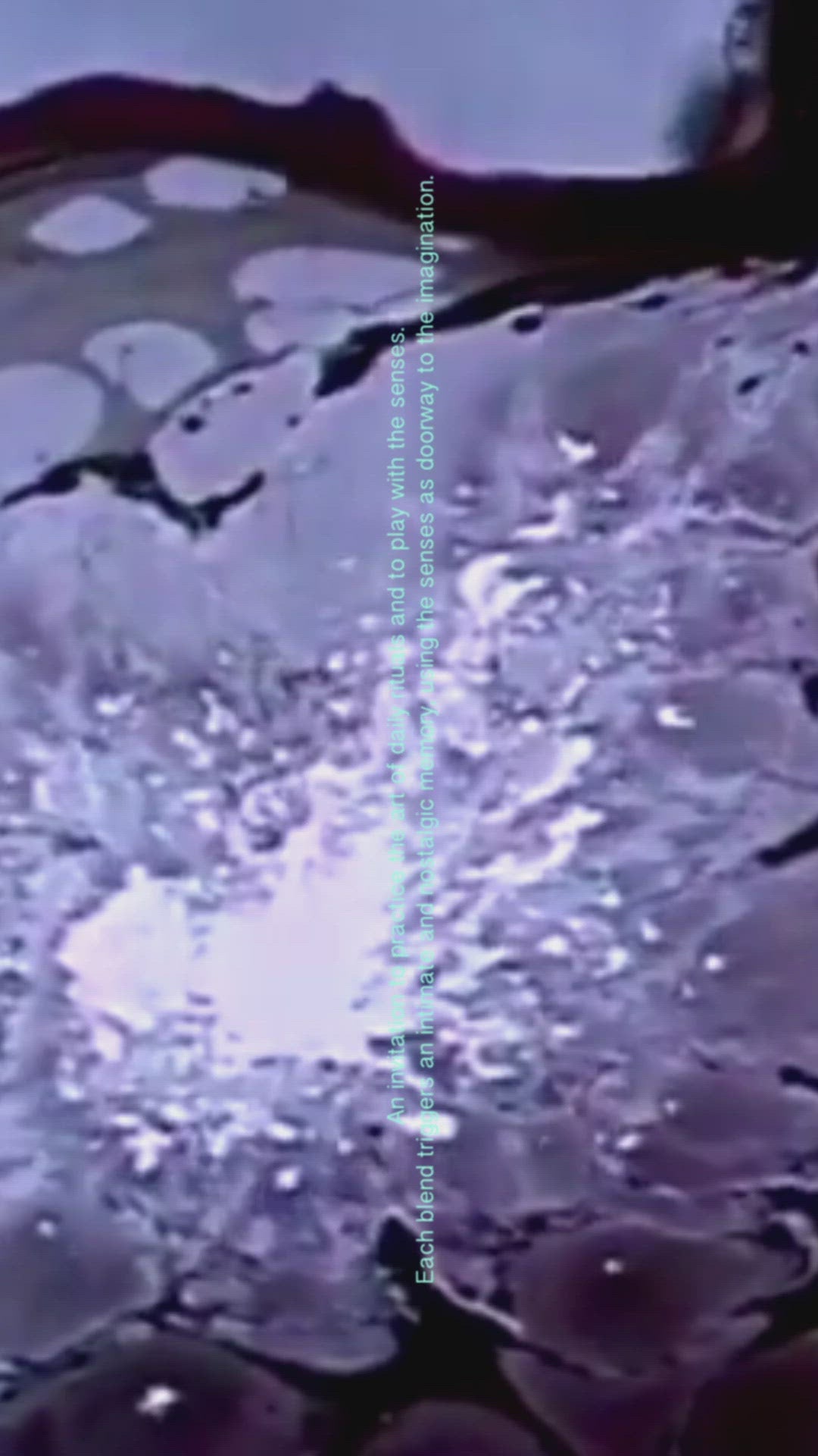 Moonlit Forest Incense