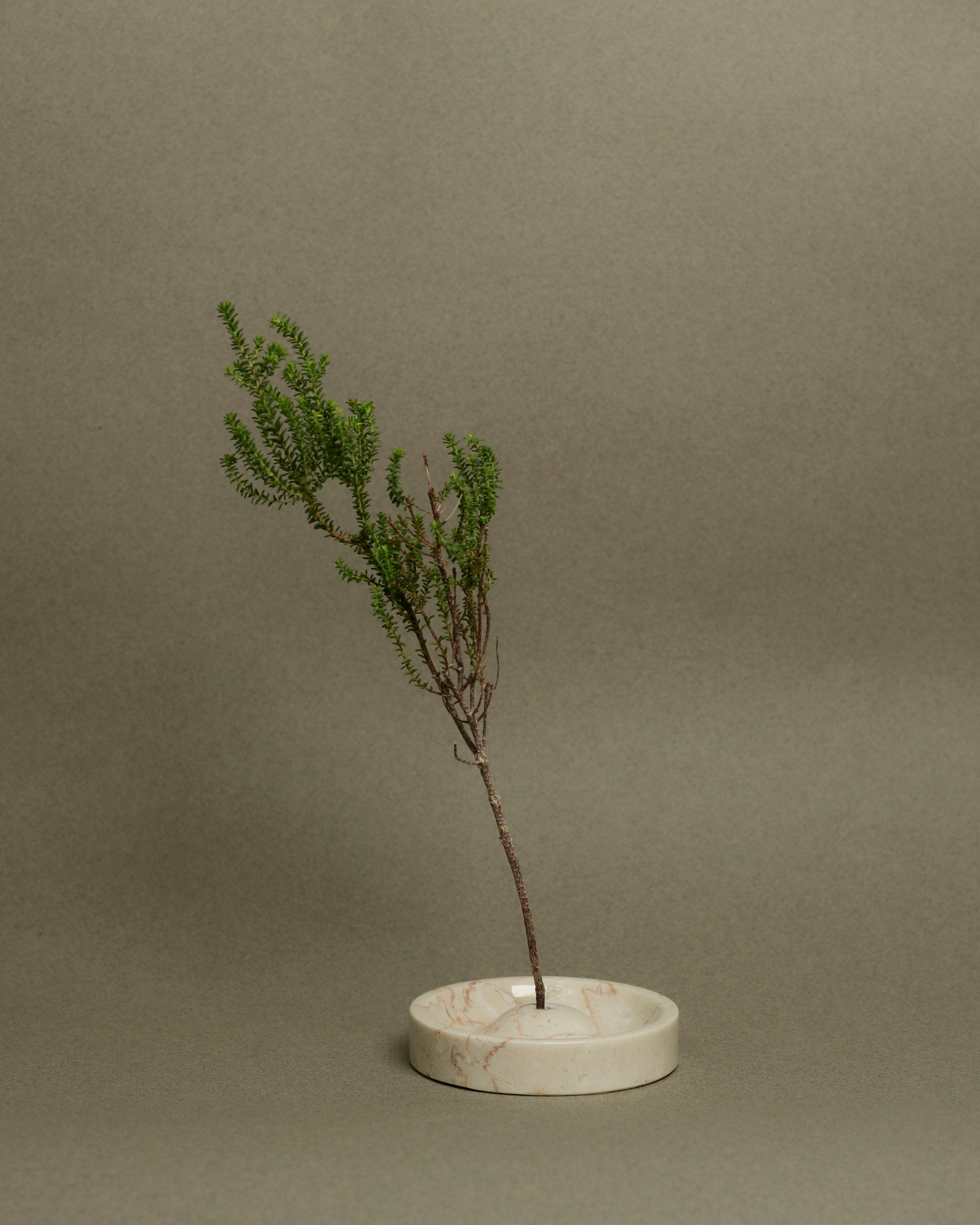 Ebb Incense Holder in Marble